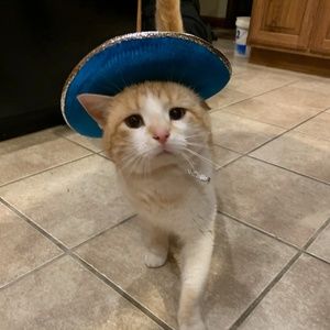 Meet your Posher, Pam